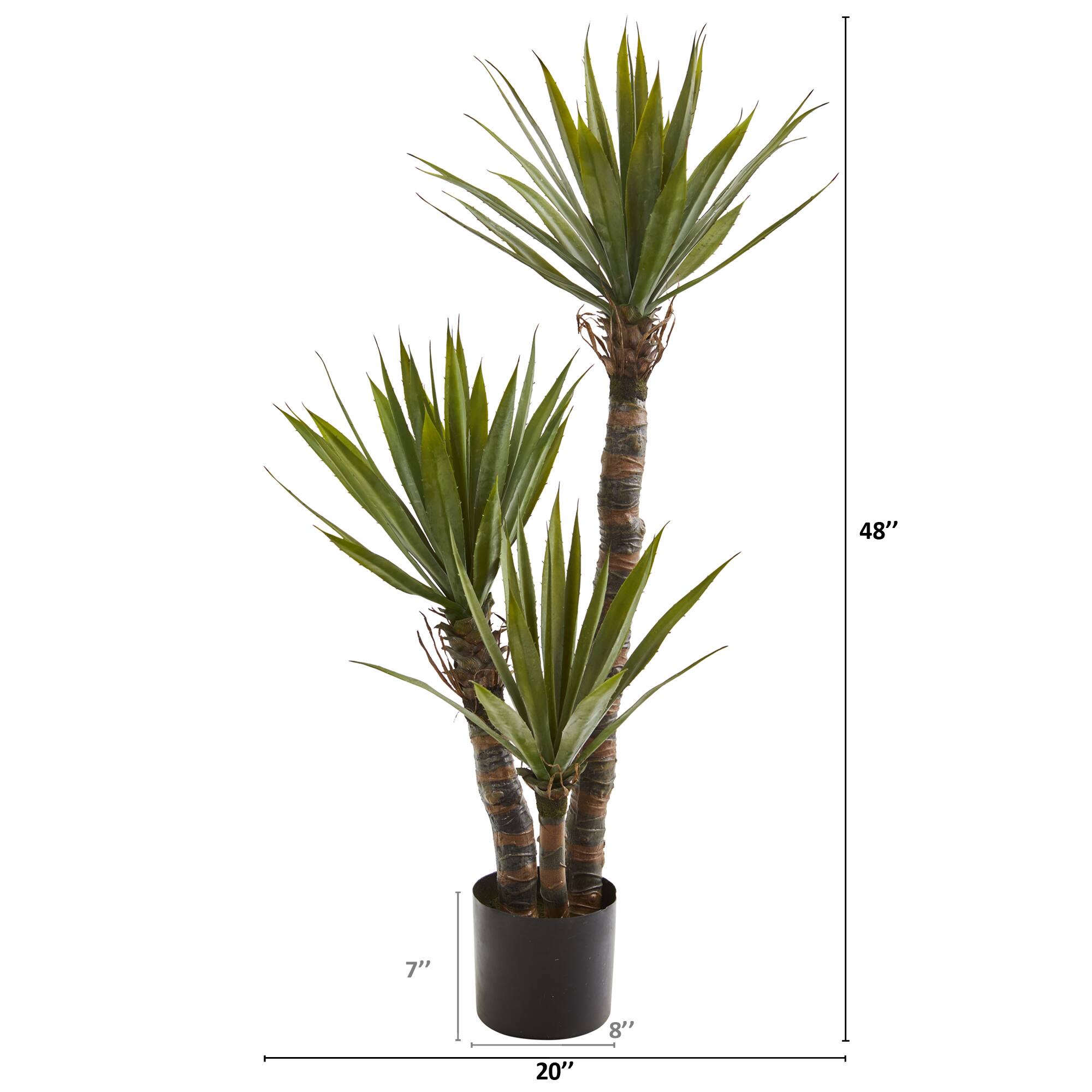 4ft. Potted Yucca Tree